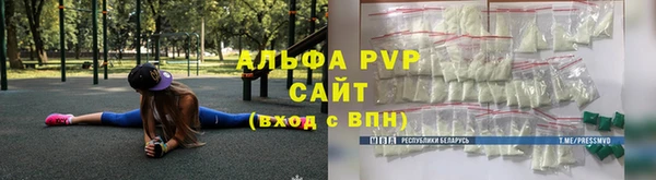 шишки Арсеньев