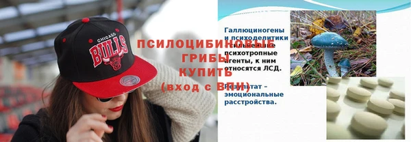 шишки Арсеньев
