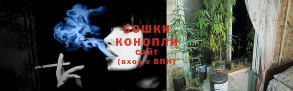 шишки Арсеньев
