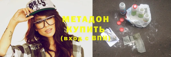 шишки Арсеньев