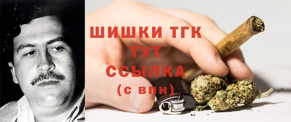 шишки Арсеньев
