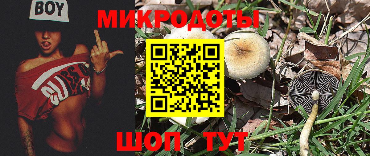 наркошоп  Вход с VPN  Галлюциногенные грибы Magic Shrooms  Рыбинск  Псилоцибиновые грибы Psilocybe 