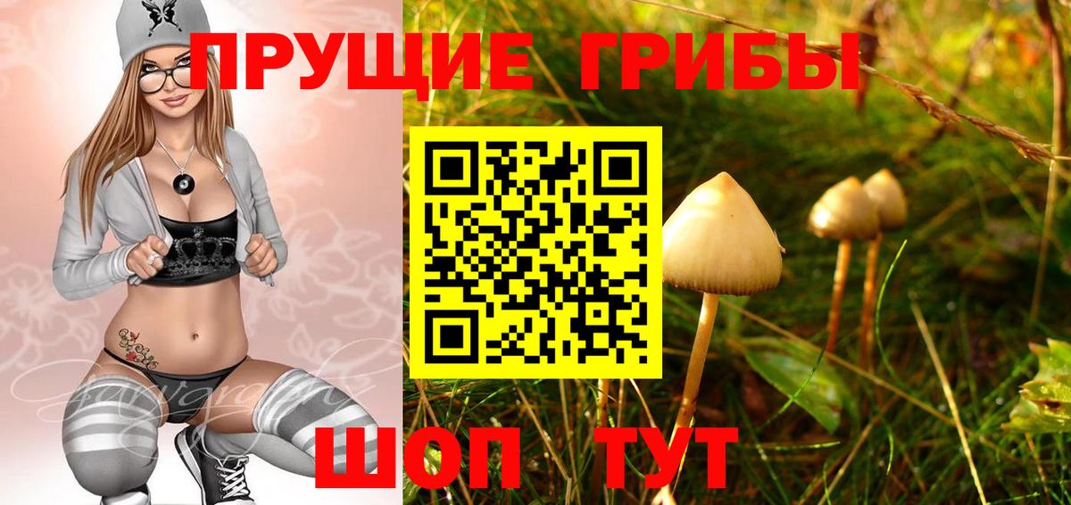 Галлюциногенные грибы Magic Shrooms Рыбинск